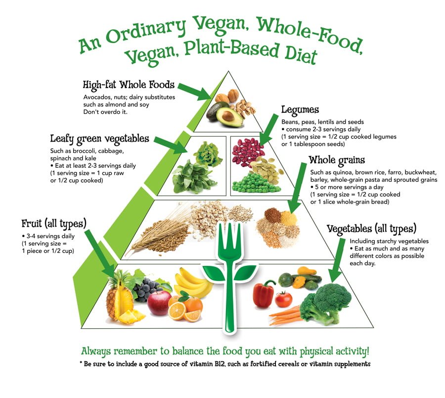 වීගන් Vegan veganism