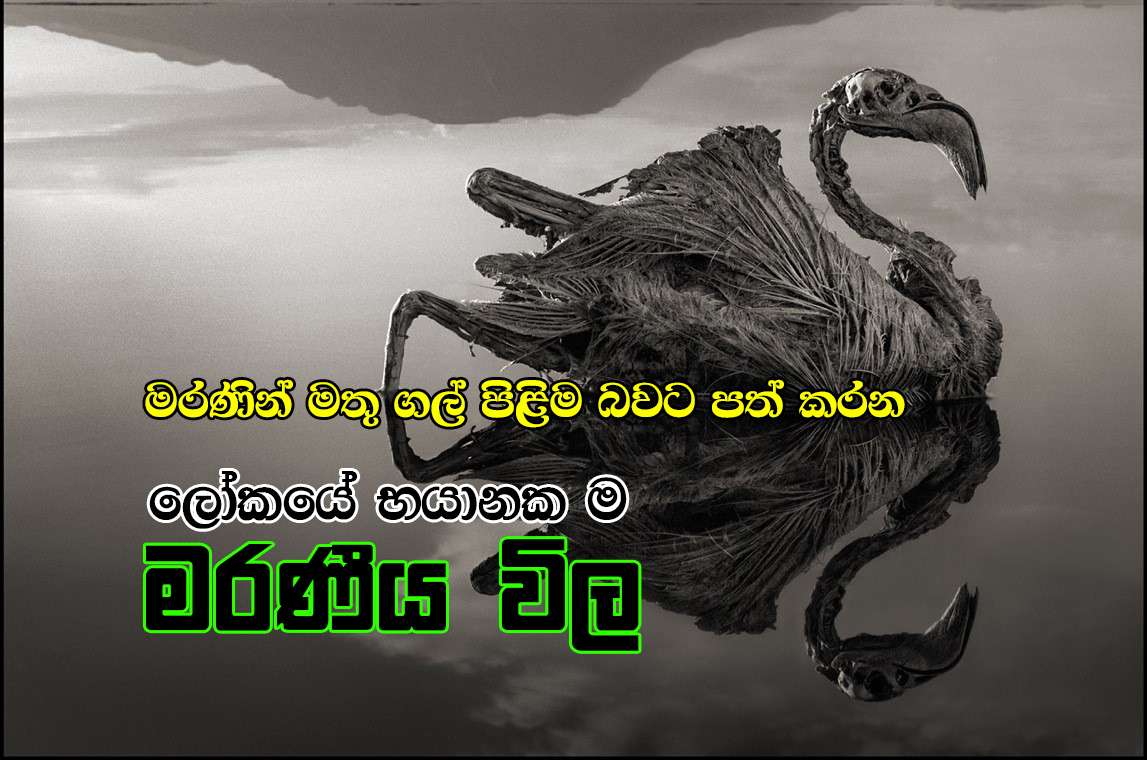 නැට්‍රොන් විල