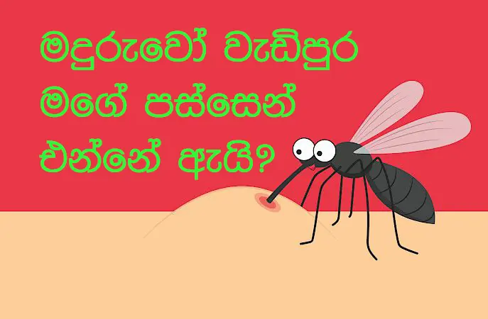 මදුරුවෝ