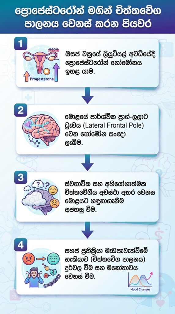ප්‍රොජෙස්ටරෝන් මඟින් චිත්තවේග පාලනය වෙනස් කරන පියවර