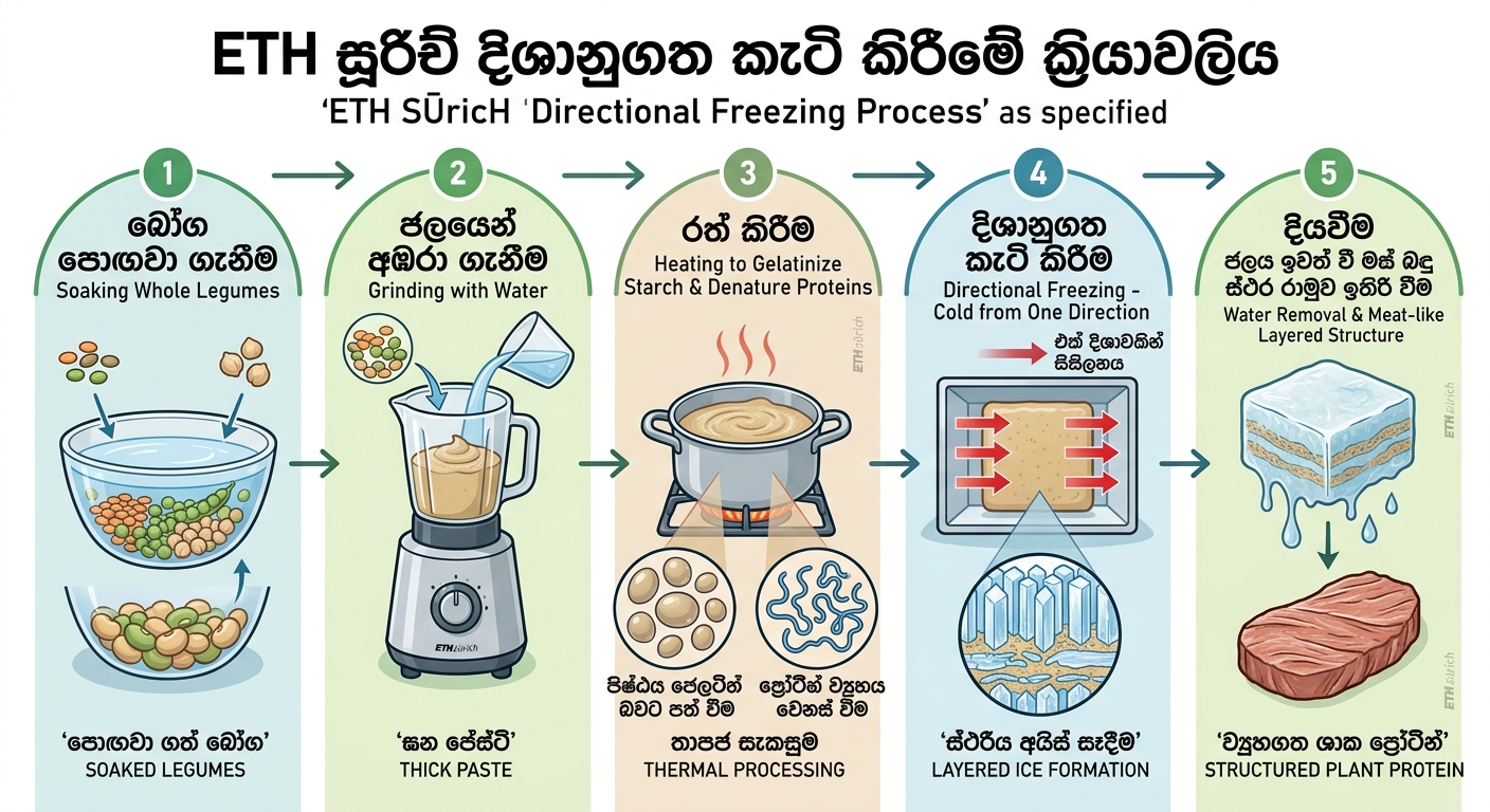 ශාක පදනම් වූ මස් විකල්ප නිෂ්පාදනයේ නව පෙරළිය: රනිල කුලයේ බෝග කැටි කිරීමේ නව සොයාගැනීම 1 ශාක පදනම් වූ මස් විකල්ප, රනිල කුලයේ බෝග, දිශානුගත කැටි කිරීම, eth සූරිච් පර්යේෂණය, ශාක ප්රෝටීන්, ආහාර තාක්ෂණය, plant based meat, food science, legumes, directional freezing